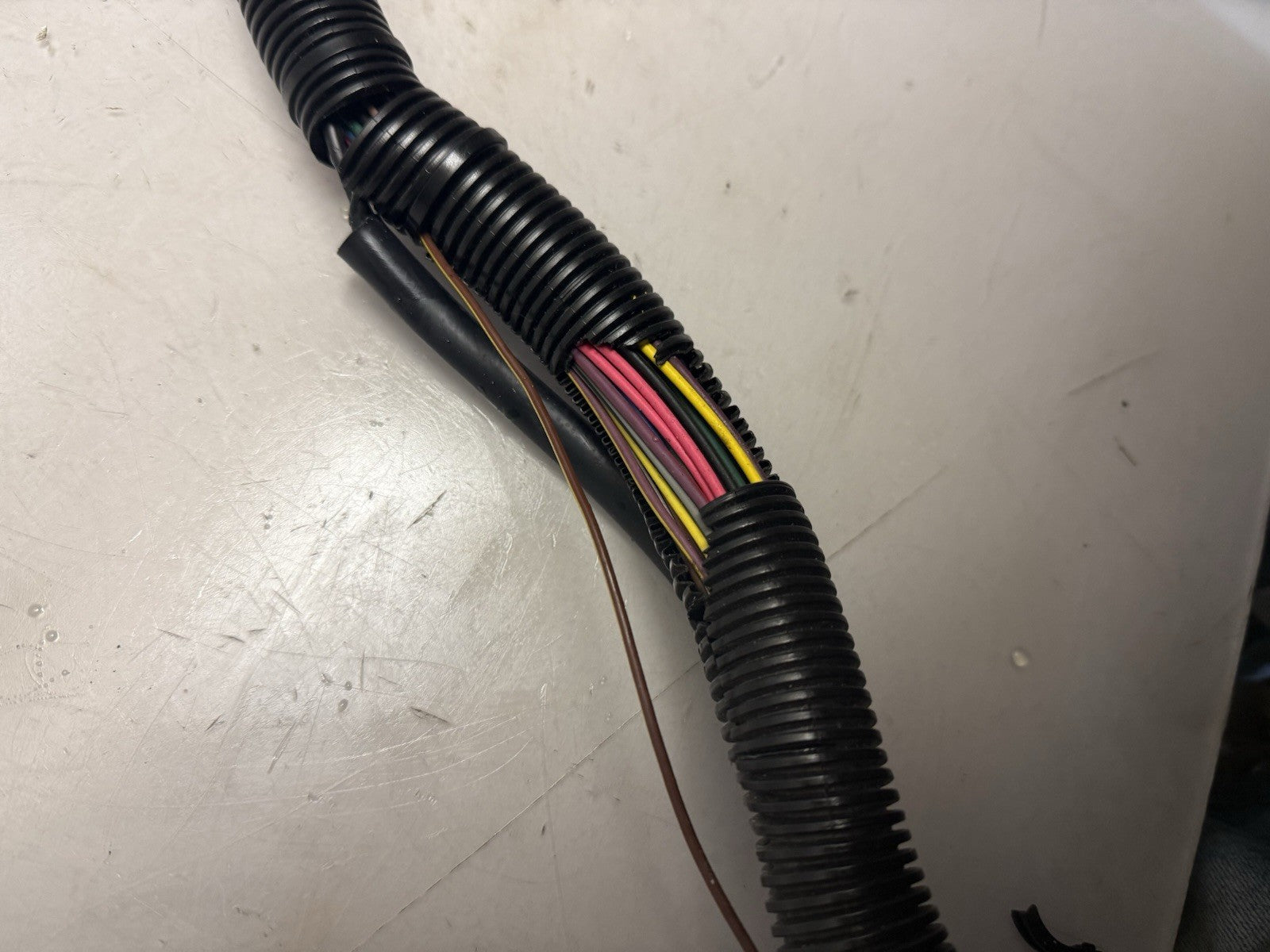 2004 Sea-Doo OEM Main Wiring Electrical Harness Loom Ass'y RXP Freshwater
