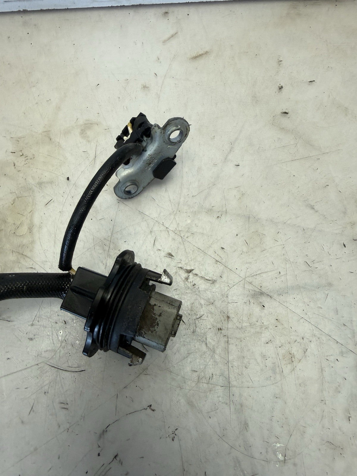 1996-2003 Sea-Doo OEM Magneto Stator Coil Ass'y Freshwater GSX GTX XP
