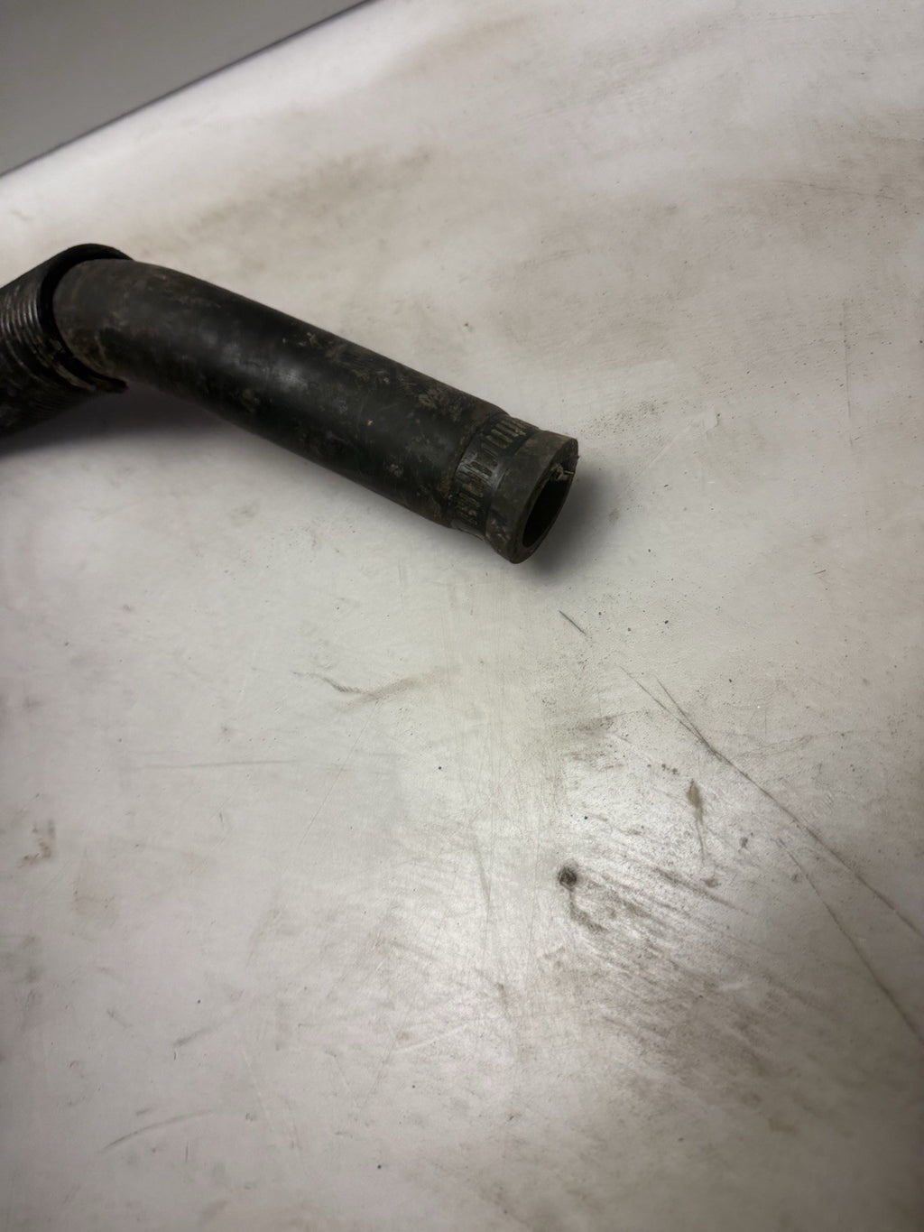 1996-2000 Ski-Doo Formula MXZ 500 OEM Coolant Hose