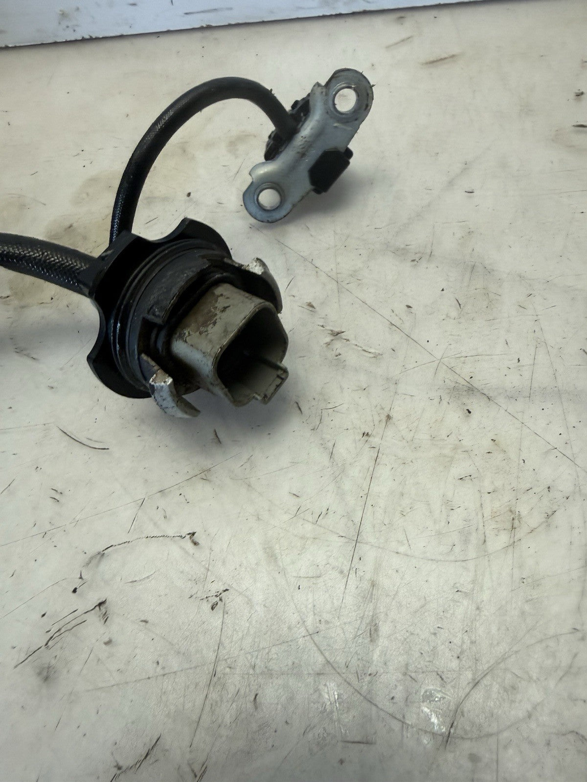 1996-2003 Sea-Doo OEM Magneto Stator Coil Ass'y Freshwater GSX GTX XP
