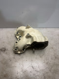 1996-2005 Sea-Doo OEM Exhaust Manifold GTX 787/800 Challenger GSX Freshwater GTI