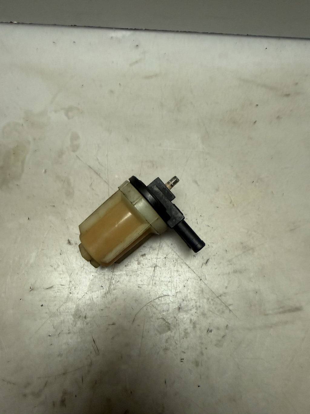 1997-2003 Sea-Doo OEM Fuel Filter Ass'y SPX GSX Limited RX XP Sportster