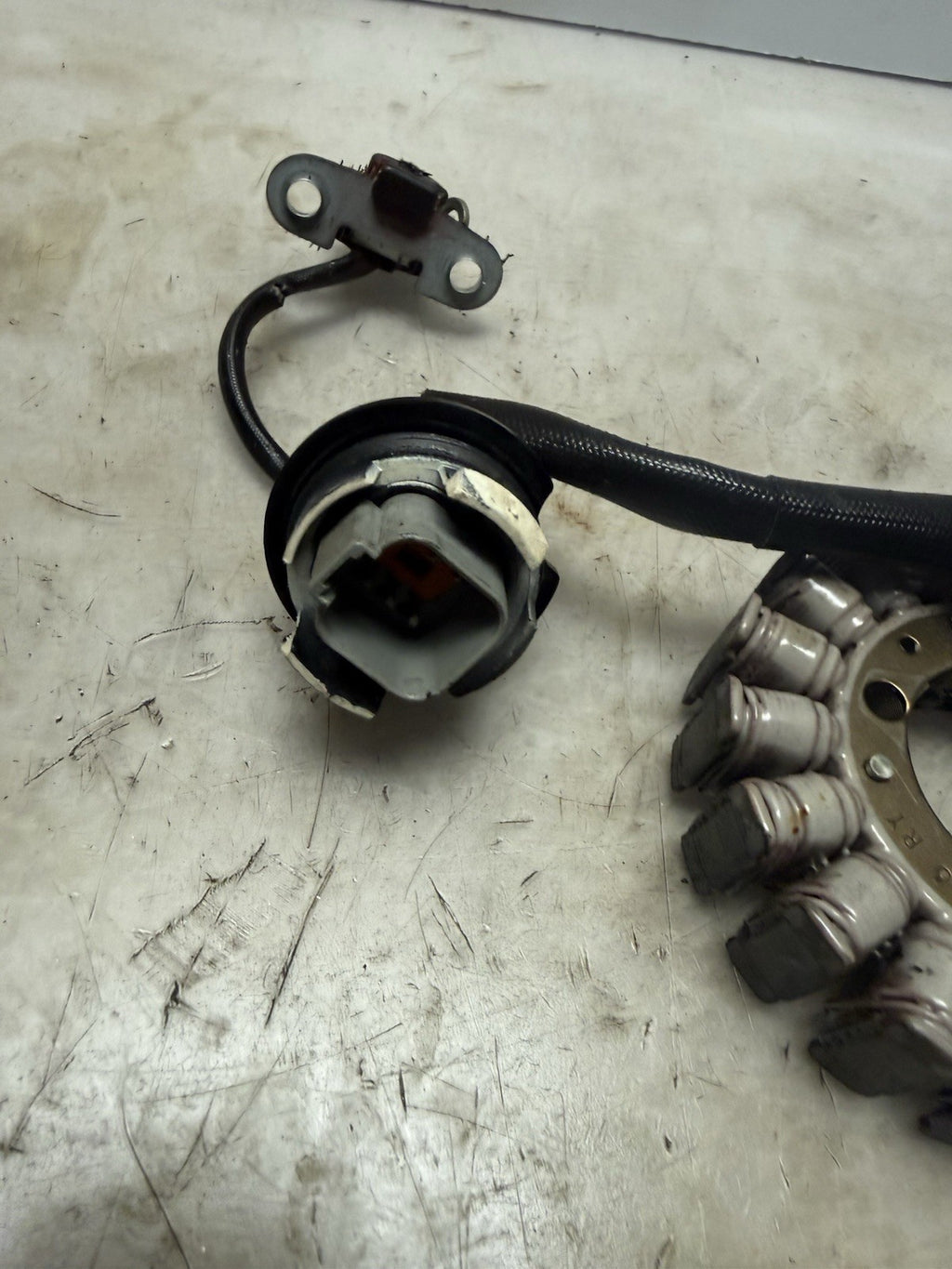 1996-2003 Sea-Doo OEM Magneto Stator Coil Ass'y Freshwater GSX GTX XP