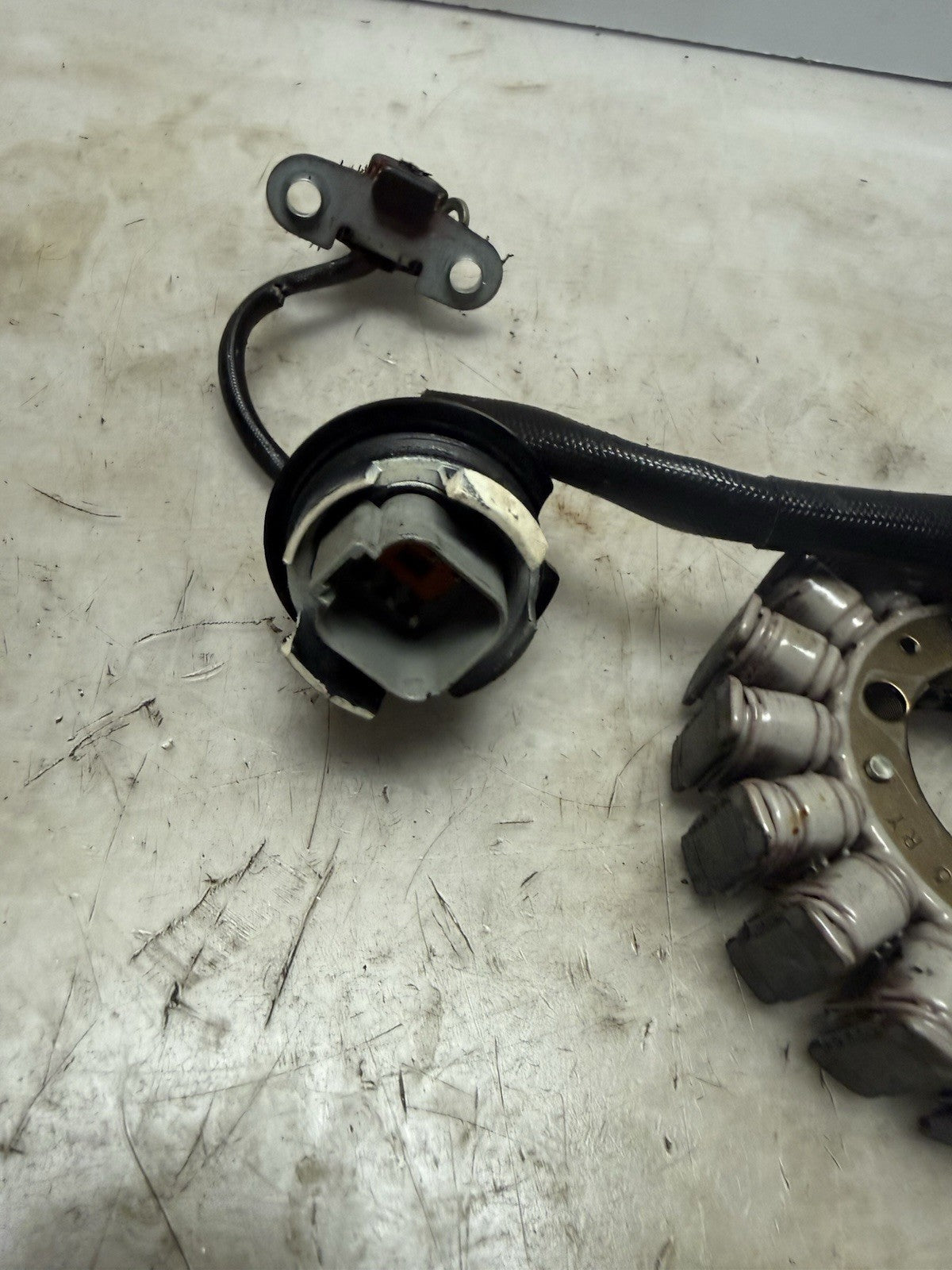 1996-2003 Sea-Doo OEM Magneto Stator Coil Ass'y Freshwater GSX GTX XP