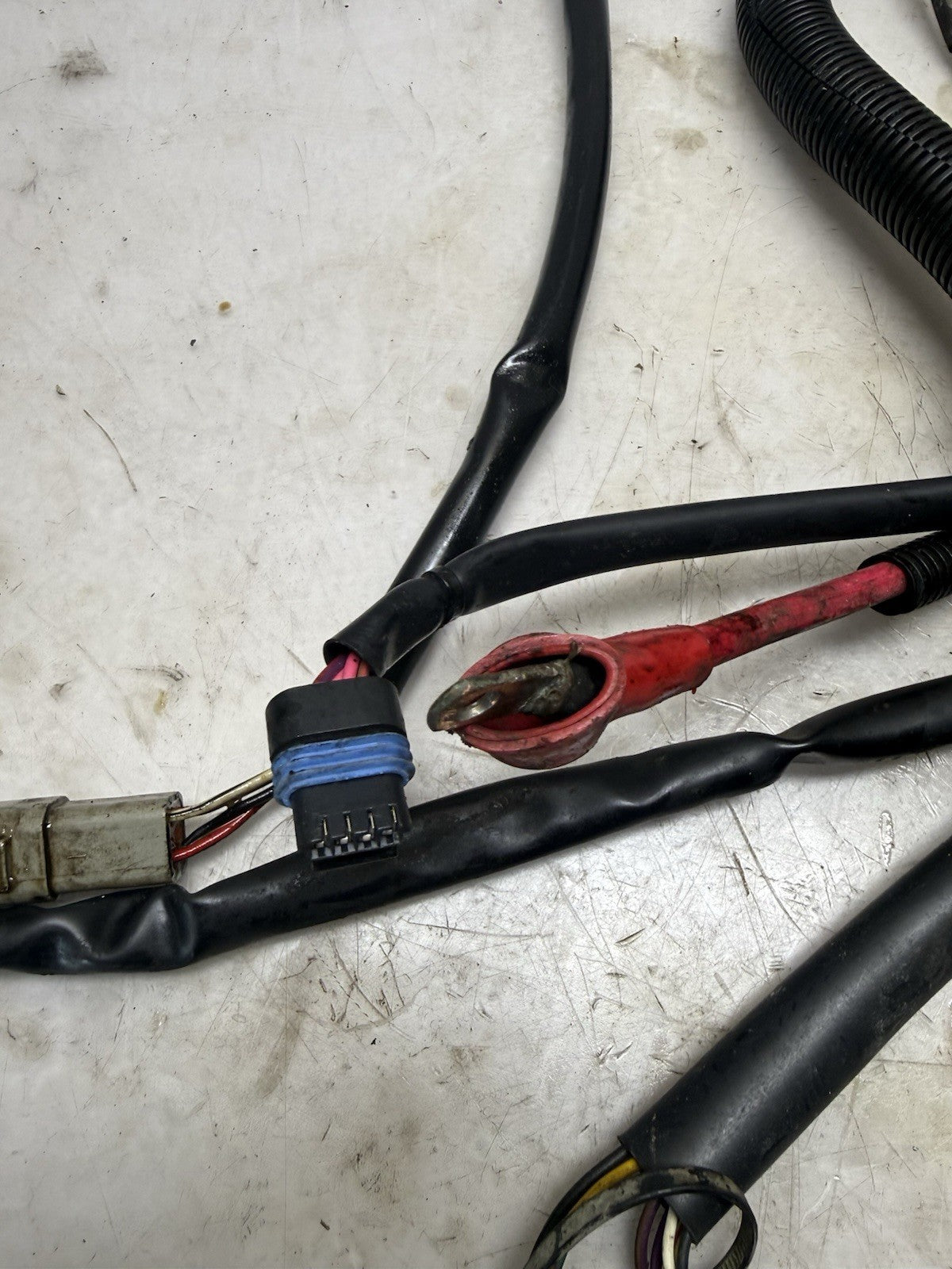 2003-2004 Sea-Doo GTX 4-TEC OEM MAIN ELECTRICAL WIRE HARNESS LOOM