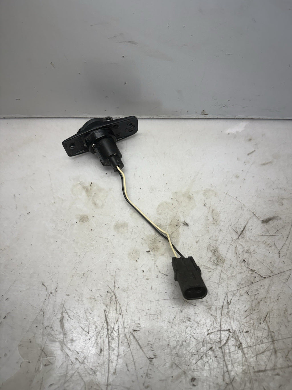 1996-2008 Sea-Doo Challenger 1800 Speedster OEM Rear Light Base Socket Assembly