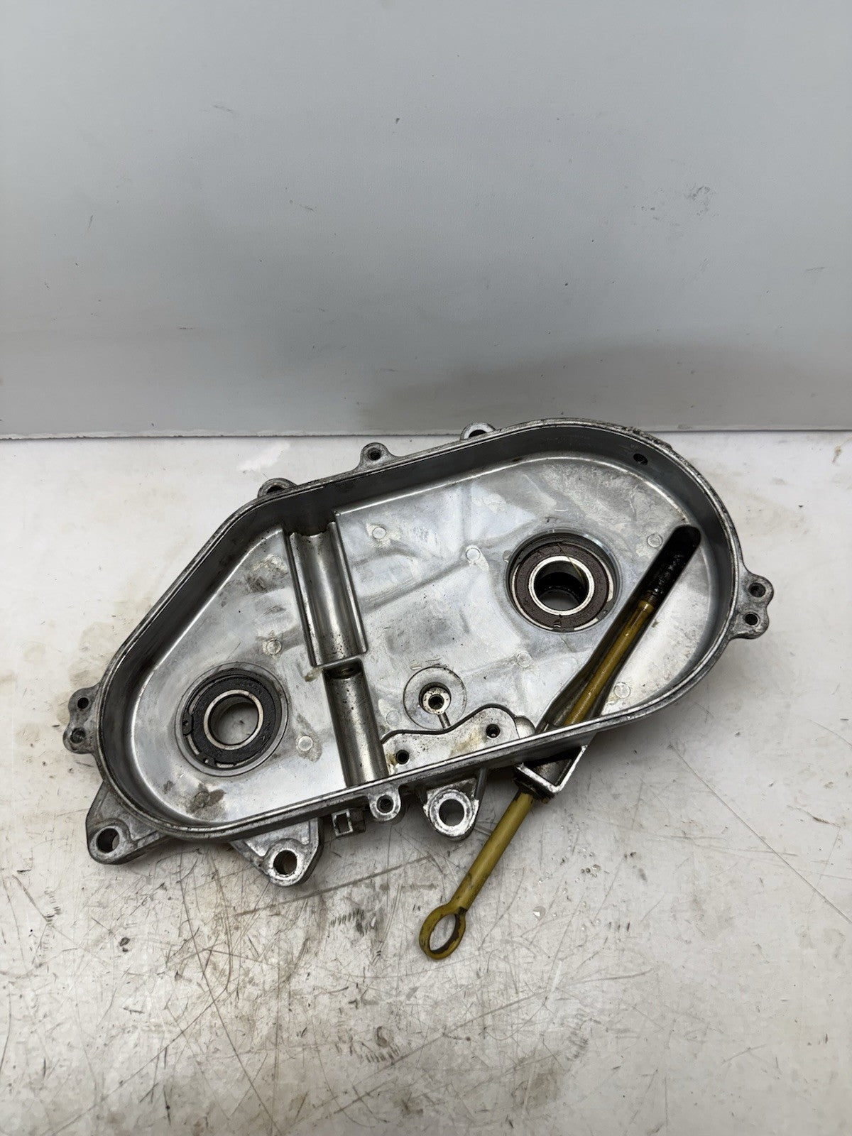 1999-2009 Ski-Doo OEM Chain Case Chaincase Summit MXZ Skandic Expedition Sport