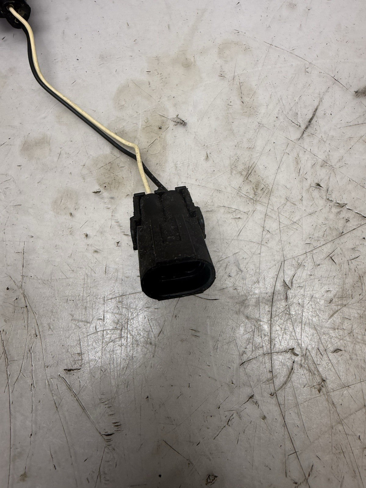 1996-2008 Sea-Doo Challenger 1800 Speedster OEM Rear Light Base Socket Assembly