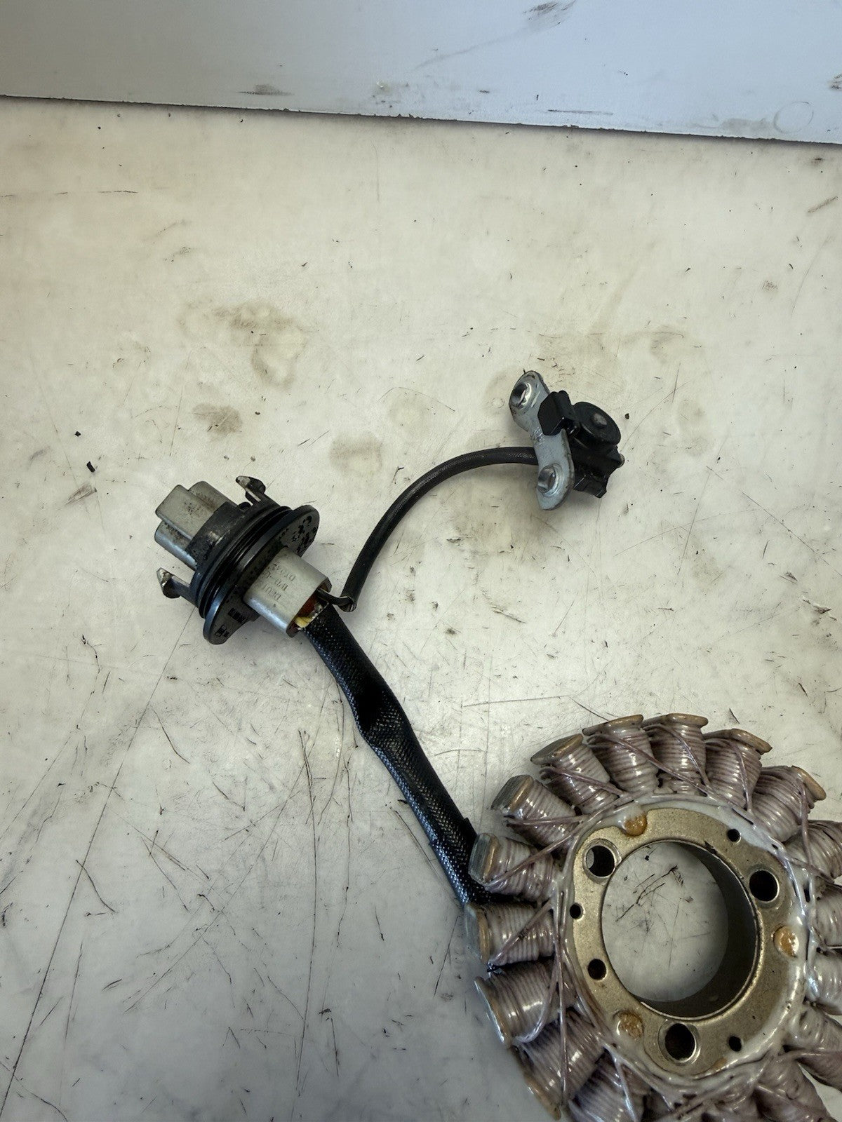 1996-2003 Sea-Doo OEM Magneto Stator Coil Ass'y Freshwater GSX GTX XP