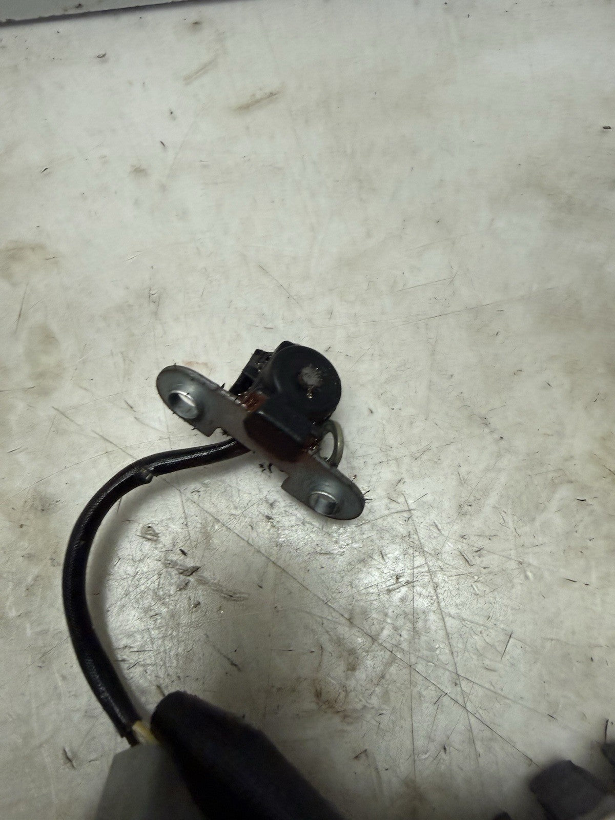 1996-2003 Sea-Doo OEM Magneto Stator Coil Ass'y Freshwater GSX GTX XP