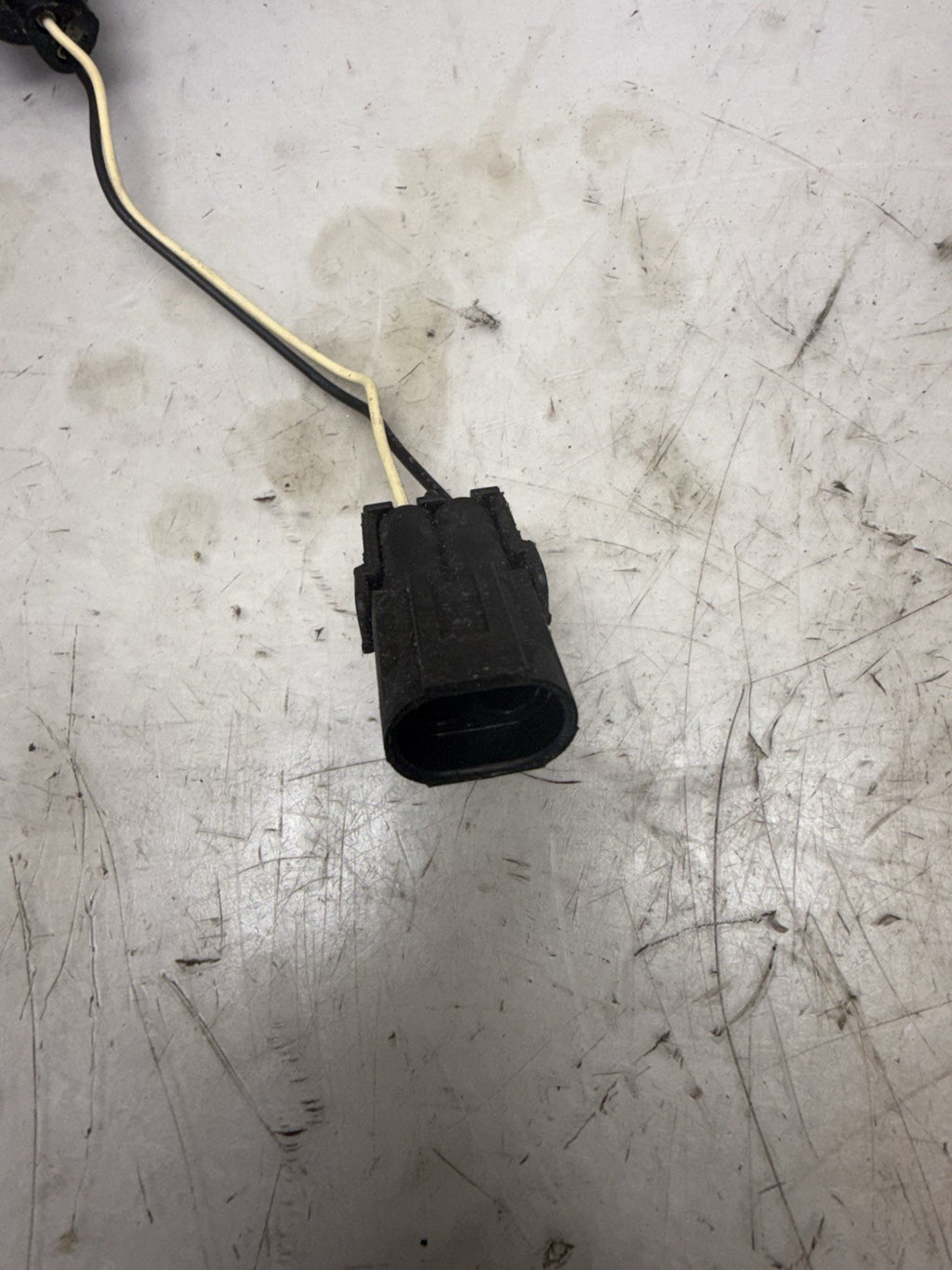 1996-2008 Sea-Doo Challenger 1800 Speedster OEM Rear Light Base Socket Assembly