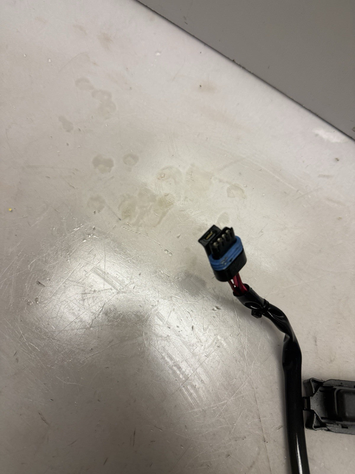 2004 Sea-Doo OEM Main Wiring Electrical Harness Loom Ass'y RXP Freshwater