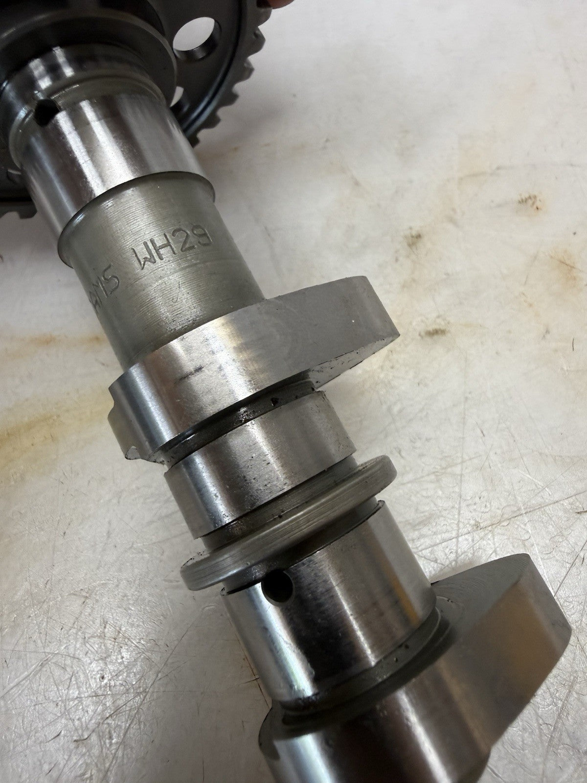 2003-2008 Suzuki Quadsport Z400 LTZ 400 HOTCAMS Intake Camshaft SF249 WH29