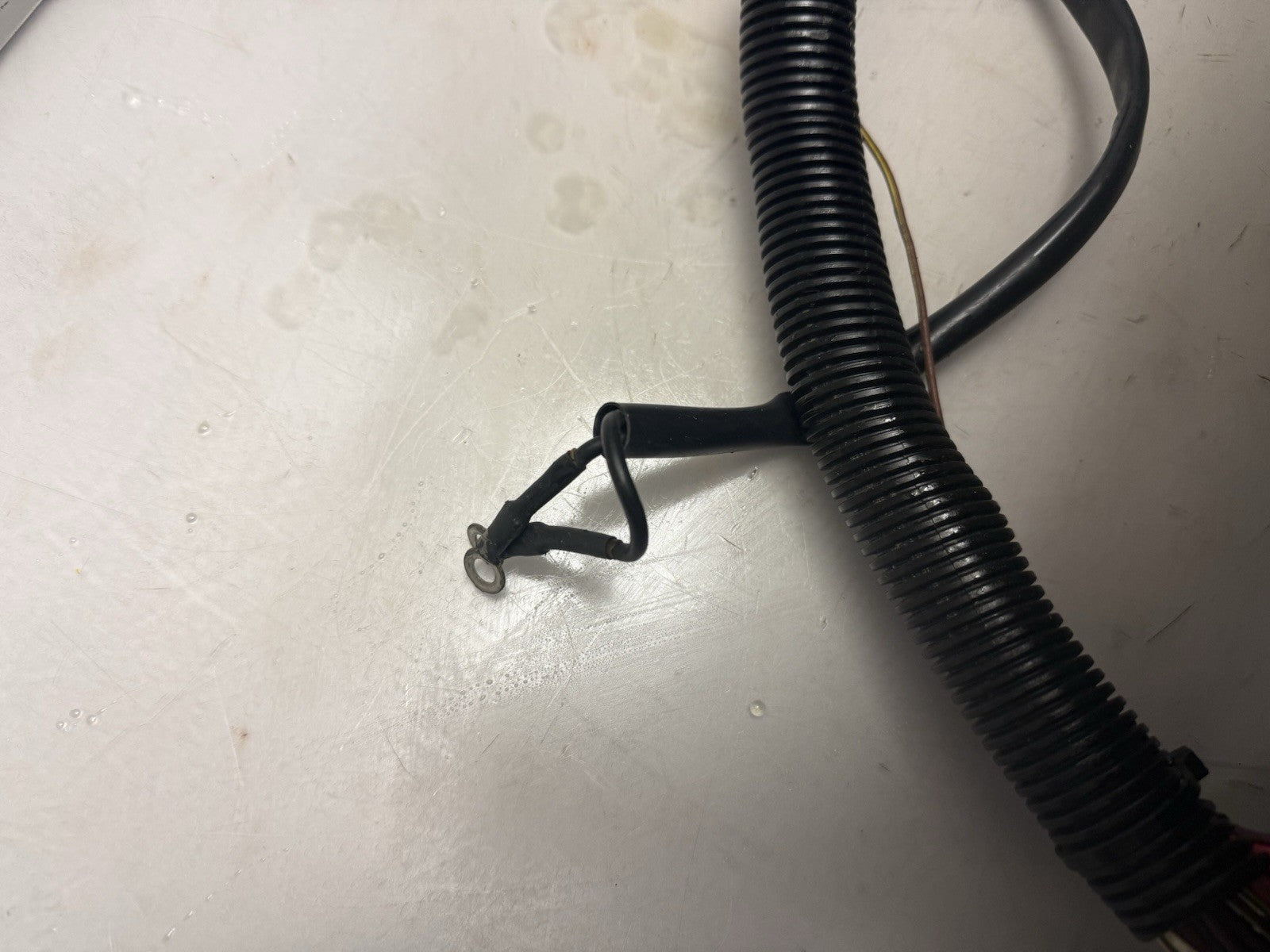 2004 Sea-Doo OEM Main Wiring Electrical Harness Loom Ass'y RXP Freshwater