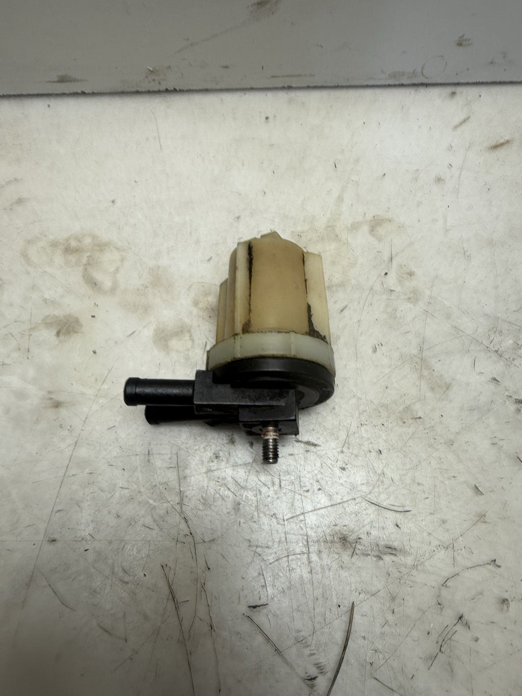 1997-2003 Sea-Doo OEM Fuel Filter Ass'y SPX GSX Limited RX XP Sportster