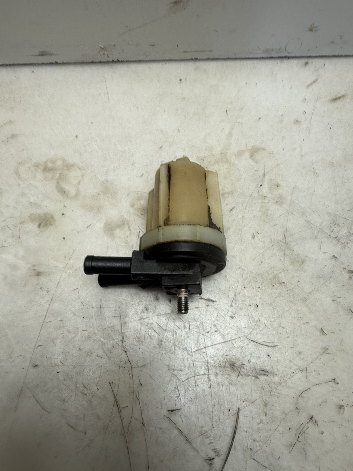 1997-2003 Sea-Doo OEM Fuel Filter Ass'y SPX GSX Limited RX XP Sportster